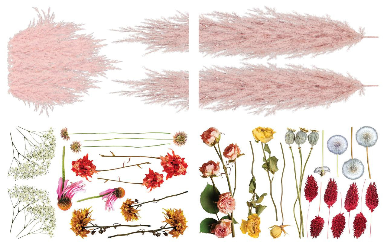 Pink Pampas and Dried Wilds - Transfer